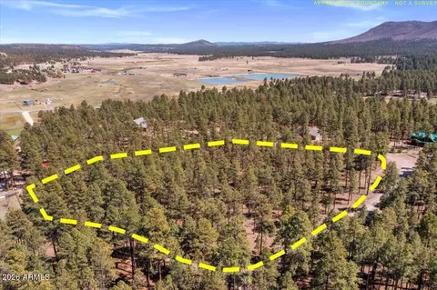tbd County Rd 2325 -- #-, Alpine, AZ 85920