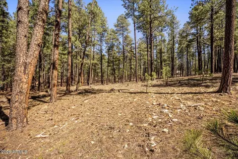 tbd County Rd 2325 -- #-, Alpine, AZ 85920