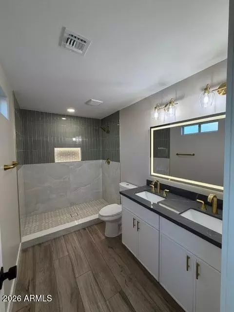 Bath - 730 E Huber St, Mesa, AZ 85203 photo 3 of 3