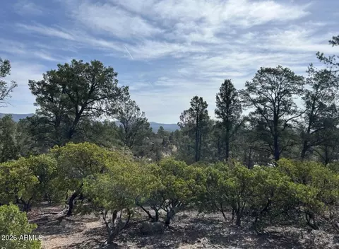 Other - 1703 E Redbud Ct, Payson, AZ 85541 photo 4 of 4