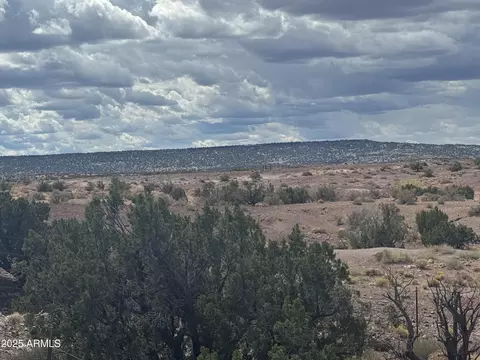 #59 River Springs Ranch -- #59, Saint Johns, AZ 85936
