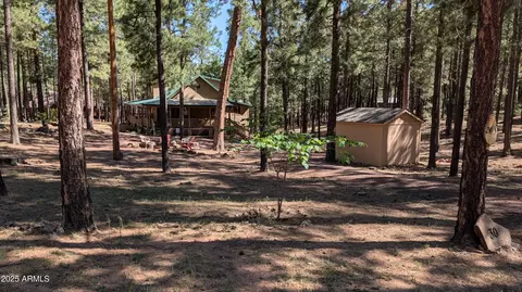 Exterior - 2425 Tall Trees Loop, Forest Lakes, AZ 85931 photo 15 of 20