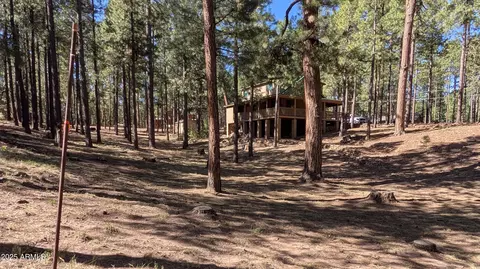 Exterior - 2425 Tall Trees Loop, Forest Lakes, AZ 85931 photo 20 of 20