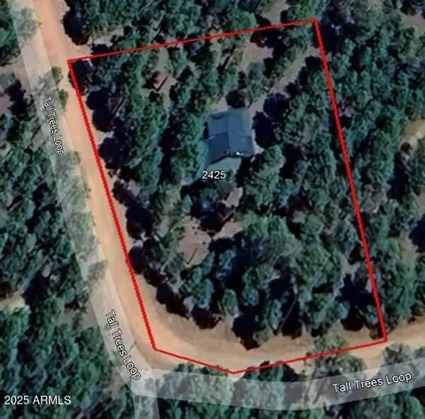 Other - 2425 Tall Trees Loop, Forest Lakes, AZ 85931 photo 9 of 9