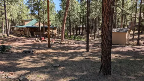 Exterior - 2425 Tall Trees Loop, Forest Lakes, AZ 85931 photo 16 of 20