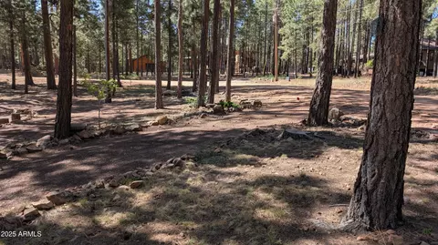 Exterior - 2425 Tall Trees Loop, Forest Lakes, AZ 85931 photo 19 of 20
