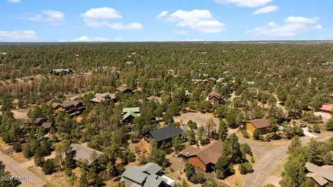 View/Area - 2235 Par Pl, Overgaard, AZ 85933 photo 4 of 7
