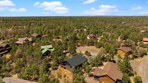 View/Area - 2235 Par Pl, Overgaard, AZ 85933 photo 5 of 7