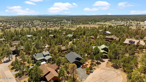 View/Area - 2235 Par Pl, Overgaard, AZ 85933 photo 3 of 7