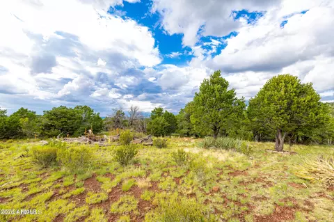 2667 E Overlook Dr, Williams, AZ 86046 photo 60