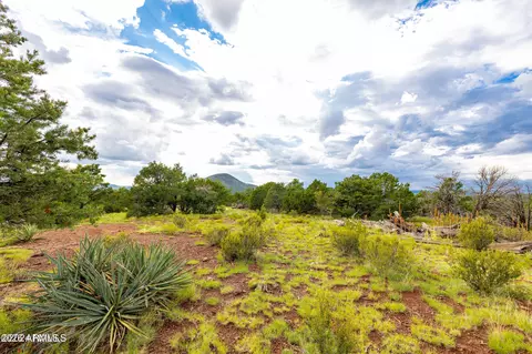 2667 E Overlook Dr, Williams, AZ 86046 photo 61