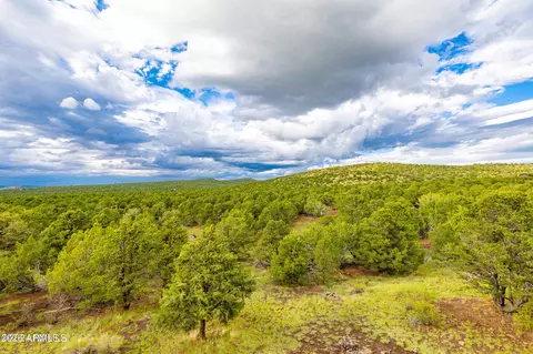 2667 E Overlook Dr, Williams, AZ 86046 photo 62