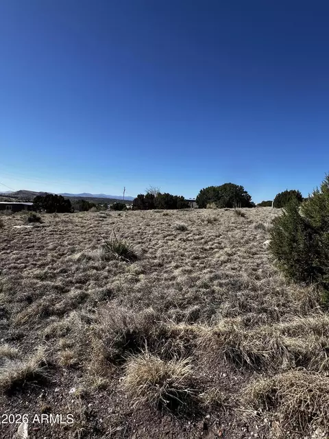 60 Short Ln #207A, Concho, AZ 85924