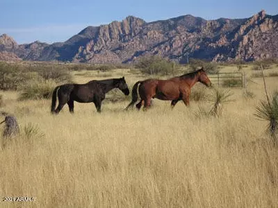 000 N Cougar Trl #95, Saint David, AZ 85630 photo 15