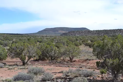 32 N8544 -- #398, Concho, AZ 85924