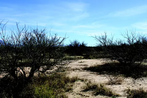 5 E 52 Acres E Chaco Ln #0, Hereford, AZ 85615 photo 12