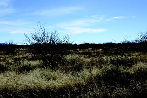 5 E 52 Acres E Chaco Ln #0, Hereford, AZ 85615 photo 2