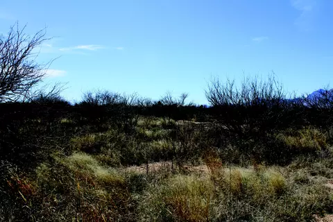5 E 52 Acres E Chaco Ln #0, Hereford, AZ 85615 photo 10