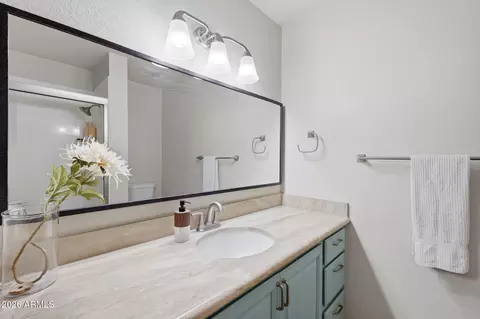 Bath - 1360 E Brown Rd #28, Mesa, AZ 85203 photo 4 of 4