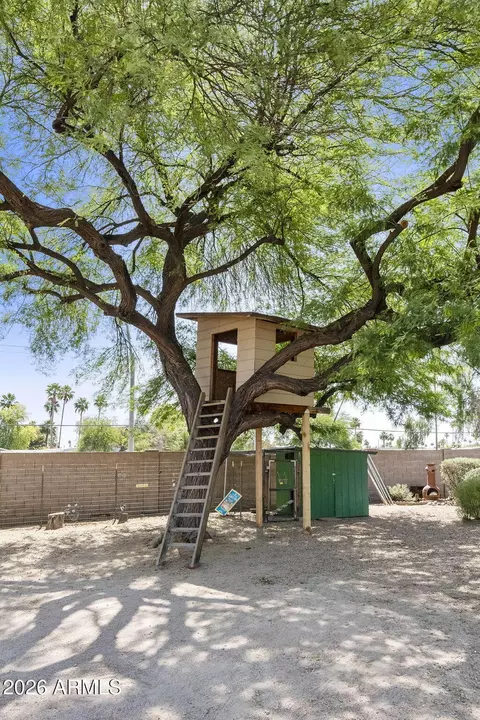 211 S Orlando St, Mesa, AZ 85206 photo 12