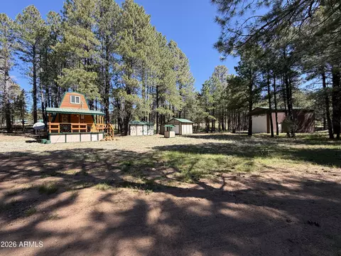1053 Pond Cir, Forest Lakes, AZ 85931