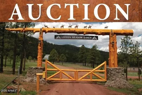 7 N County Road N1332 -- #46, Greer, AZ 85927