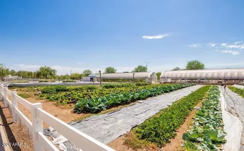 View/Area - 10356 E Wavelength Ave, Mesa, AZ 85212 photo 10 of 11