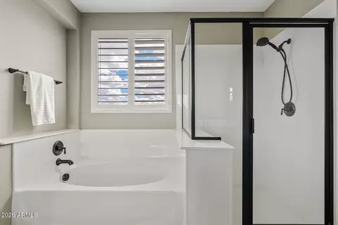 Bath - 9743 E Torino Ave, Mesa, AZ 85212 photo 3 of 6