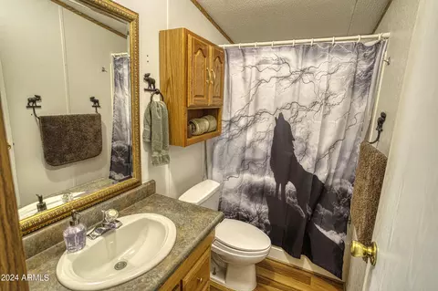 6253 Apache Trl, Show Low, AZ 85901 photo 17