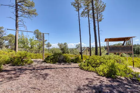 6253 Apache Trl, Show Low, AZ 85901 photo 25