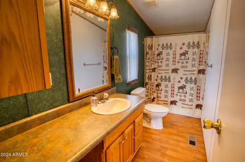 6253 Apache Trl, Show Low, AZ 85901 photo 5