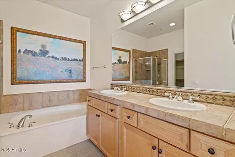 Bath - 7445 Eagle Crest Dr #2138, Mesa, AZ 85207 photo 1 of 3