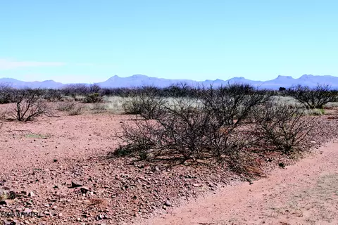 67 W Acres W Penn State Dr #1229, Douglas, AZ 85607