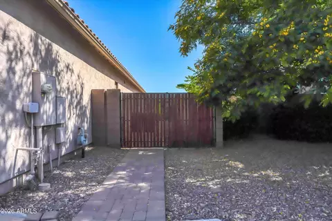 Exterior - 3353 E Aster Dr, Chandler, AZ 85286 photo 11 of 14