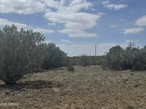 lot014 E Wagon Ln #014E, Snowflake, AZ 85937 photo 15