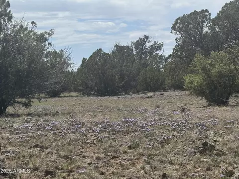 lot014 E Wagon Ln #014E, Snowflake, AZ 85937 photo 8