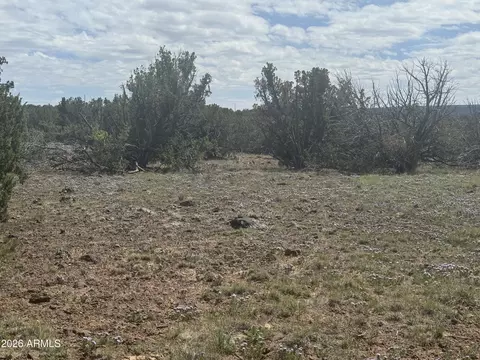 lot014 E Wagon Ln #014E, Snowflake, AZ 85937 photo 13