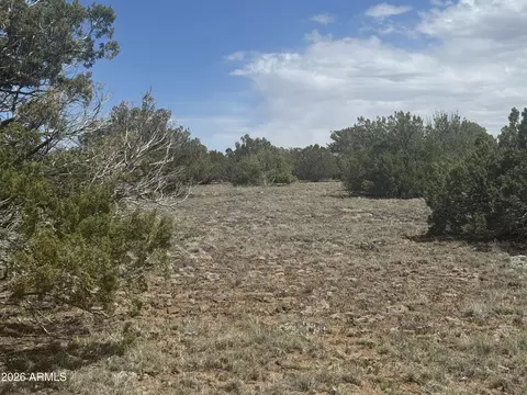 lot014 E Wagon Ln #014E, Snowflake, AZ 85937 photo 9