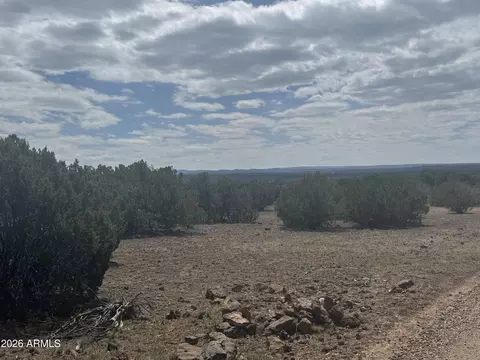 lot014 E Wagon Ln #014E, Snowflake, AZ 85937 photo 12