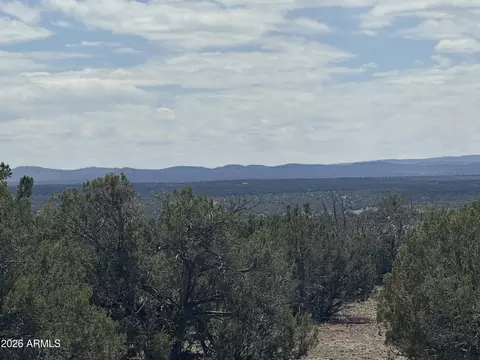 lot014 E Wagon Ln #014E, Snowflake, AZ 85937