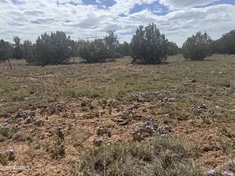 lot014 E Wagon Ln #014E, Snowflake, AZ 85937 photo 6