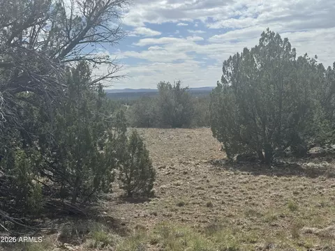 lot014 E Wagon Ln #014E, Snowflake, AZ 85937 photo 17