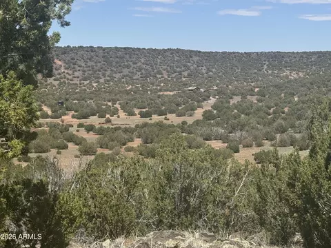 lot014 E Wagon Ln #014E, Snowflake, AZ 85937 photo 3