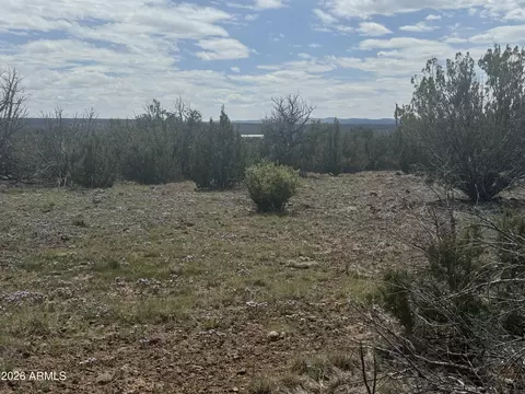 lot014 E Wagon Ln #014E, Snowflake, AZ 85937 photo 14