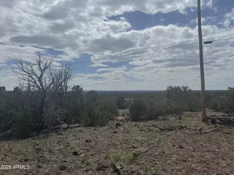 lot014 E Wagon Ln #014E, Snowflake, AZ 85937 photo 18