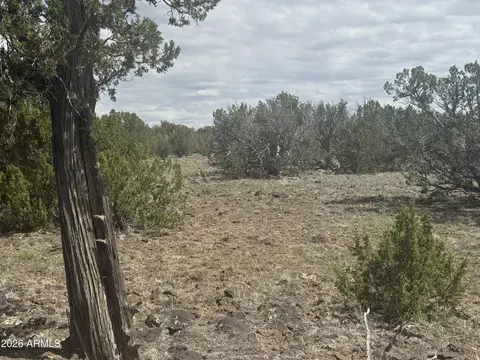 lot014 E Wagon Ln #014E, Snowflake, AZ 85937 photo 16