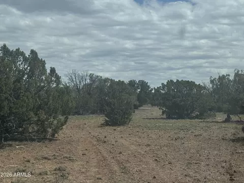 lot014 E Wagon Ln #014E, Snowflake, AZ 85937 photo 7