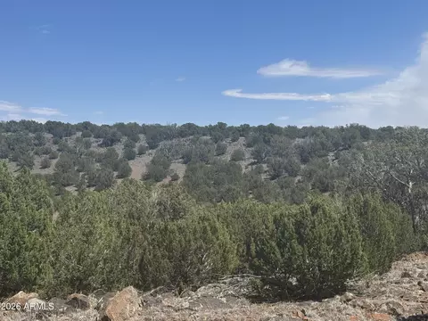 lot014 E Wagon Ln #014E, Snowflake, AZ 85937 photo 2