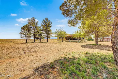 Exterior - 6 Buckskin Ln, Sonoita, AZ 85637 photo 12 of 12