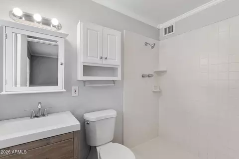 Bath - 317 E Griswold Rd, Phoenix, AZ 85020 photo 3 of 3